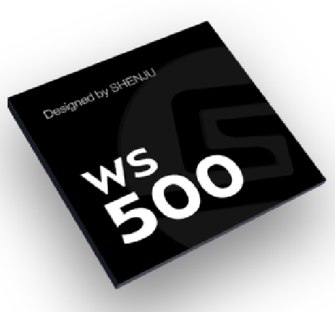 WS500