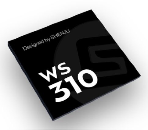 WS310